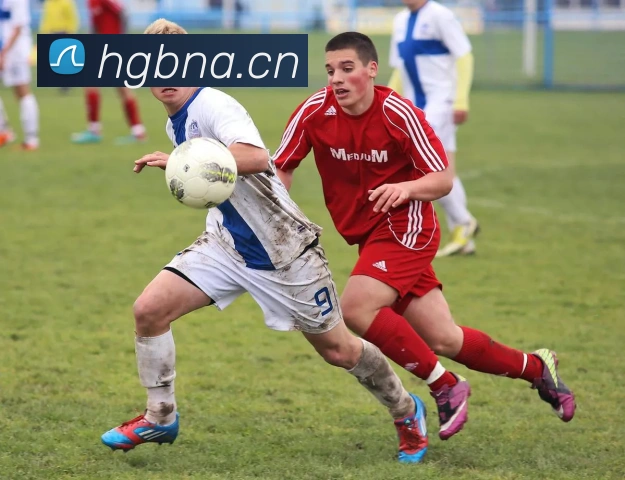 星空体育在线官网品牌故事