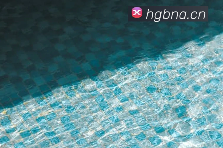 星空体育在线官网服务体系